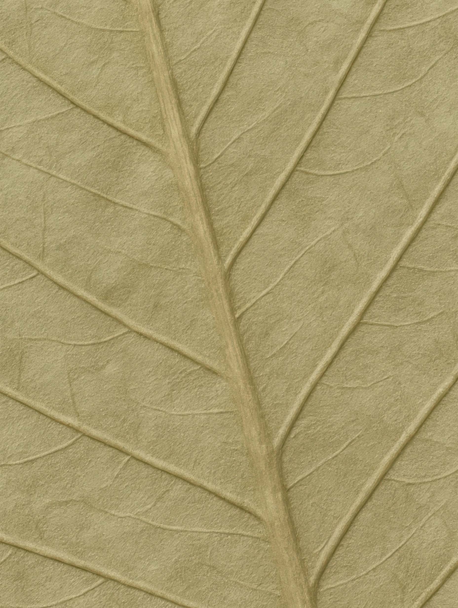 Leaf Texture Botanical Poster