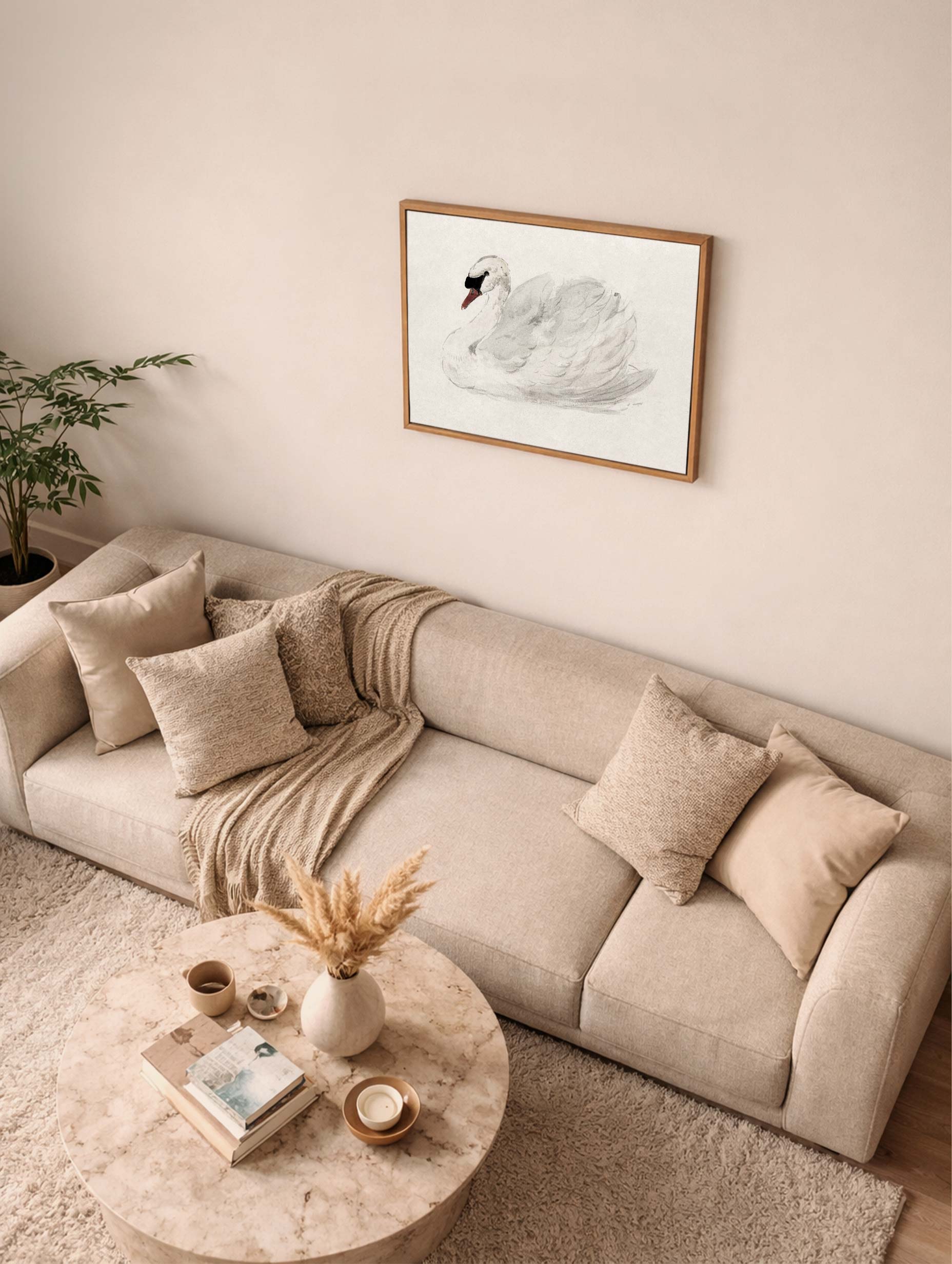 Mute Swan - Aert Schouman Art Mockup