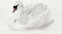 Mute Swan - Aert Schouman Art Print