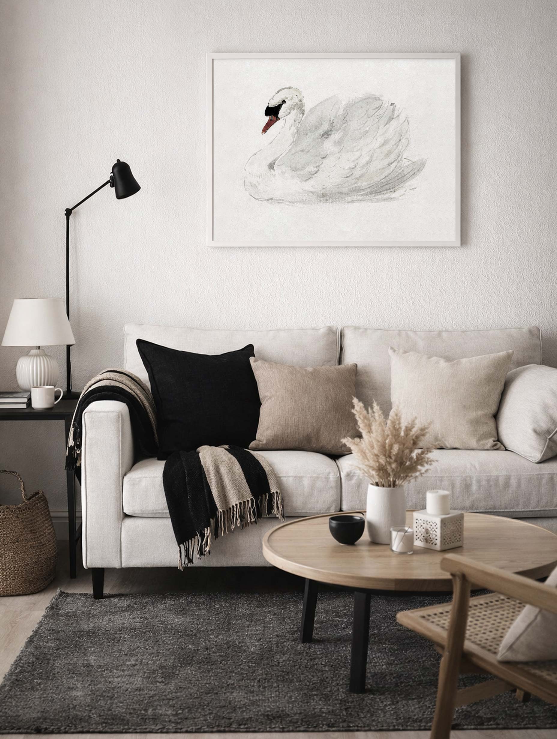 Mute Swan - Aert Schouman Art Mockup