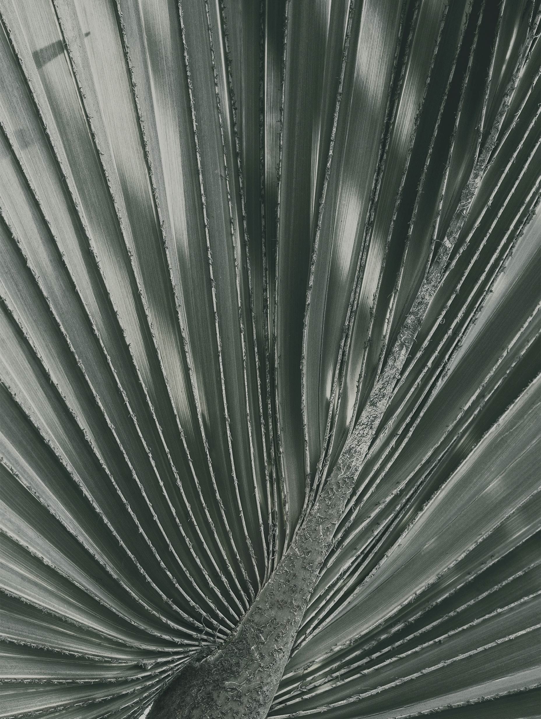 Första huset i en bosättning abstrakt konsttryck