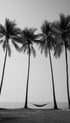 Palm Trees Black and White Botanical Poster