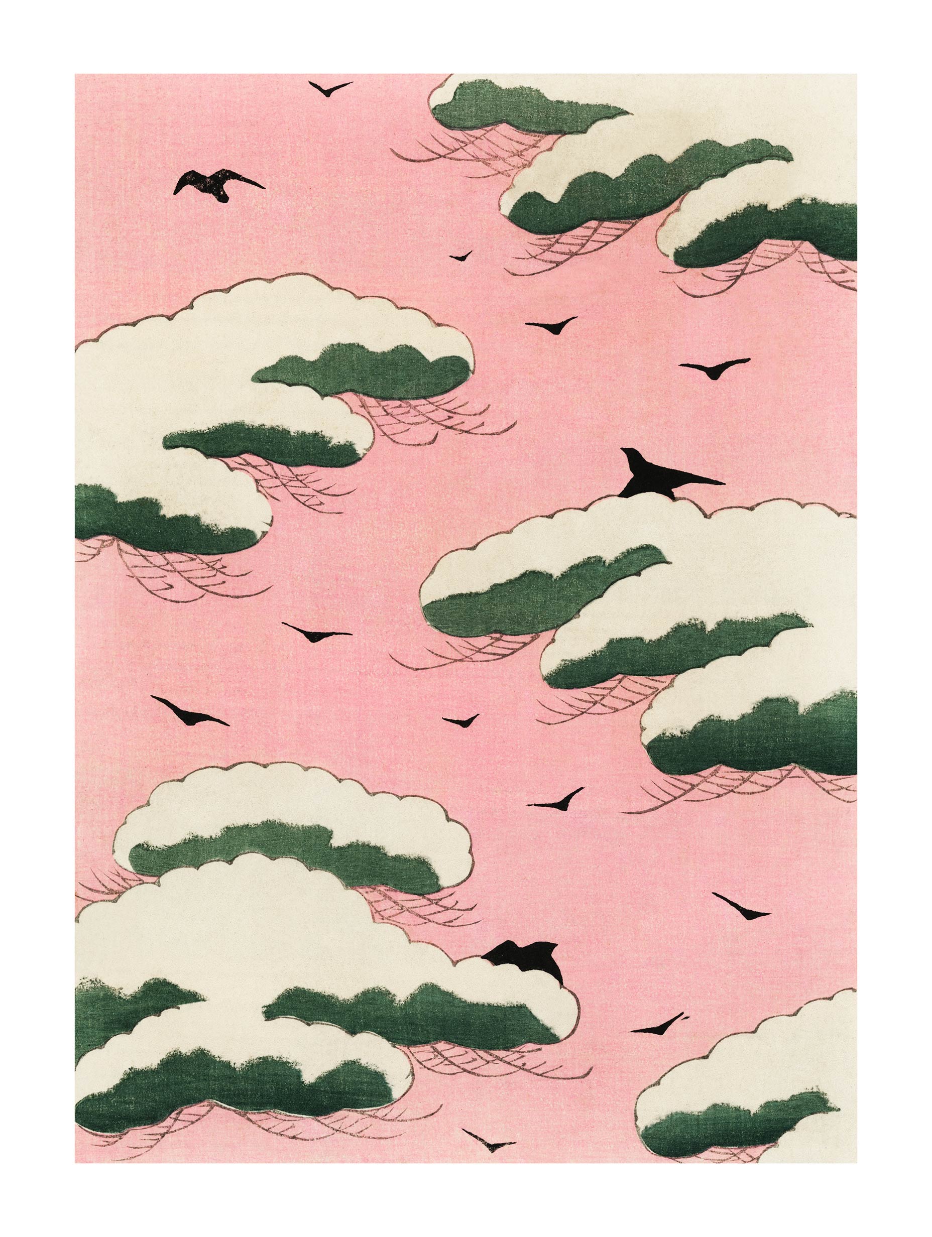 Rosa himmel - Watanabe Seitei