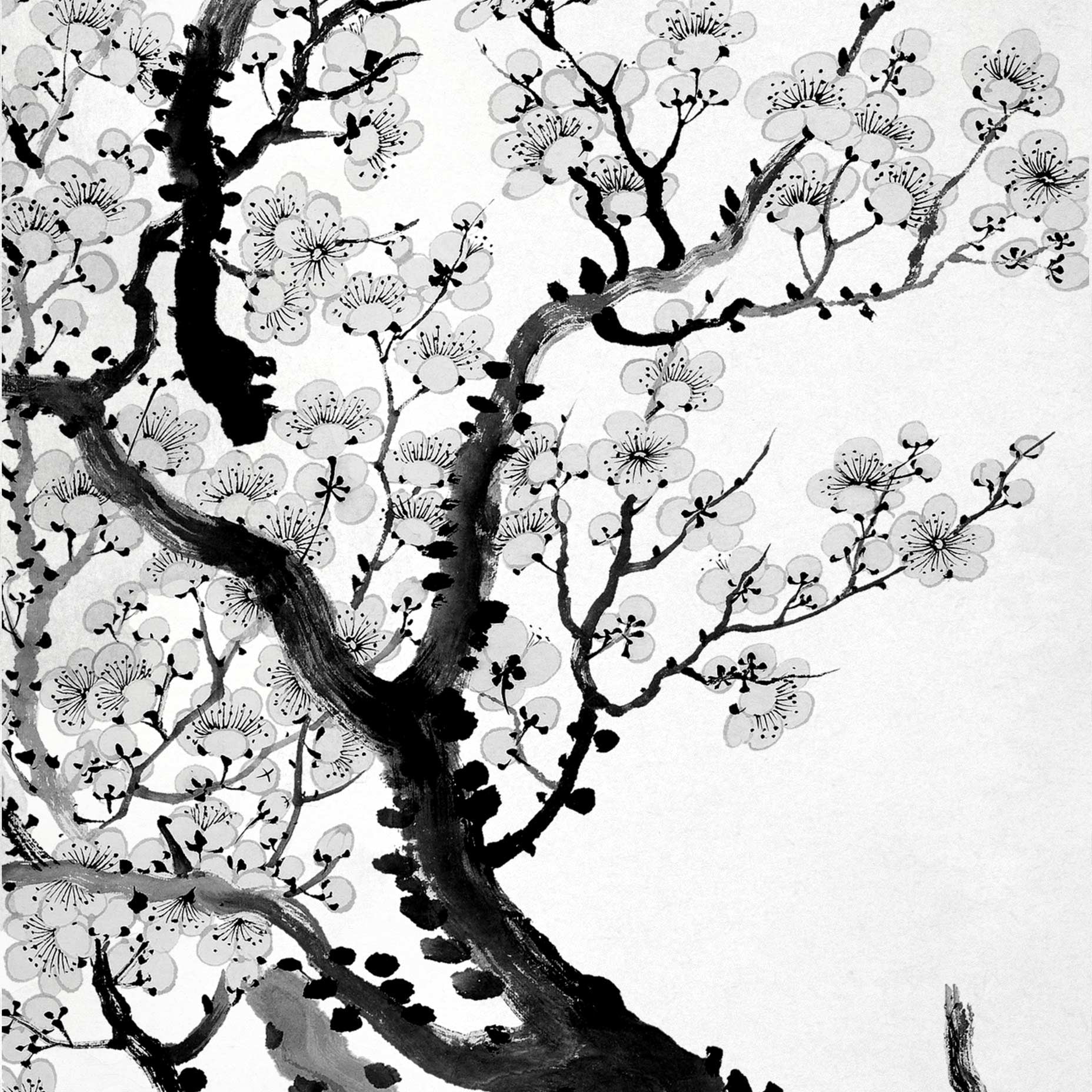 Plum Blossom Japanese Art Print