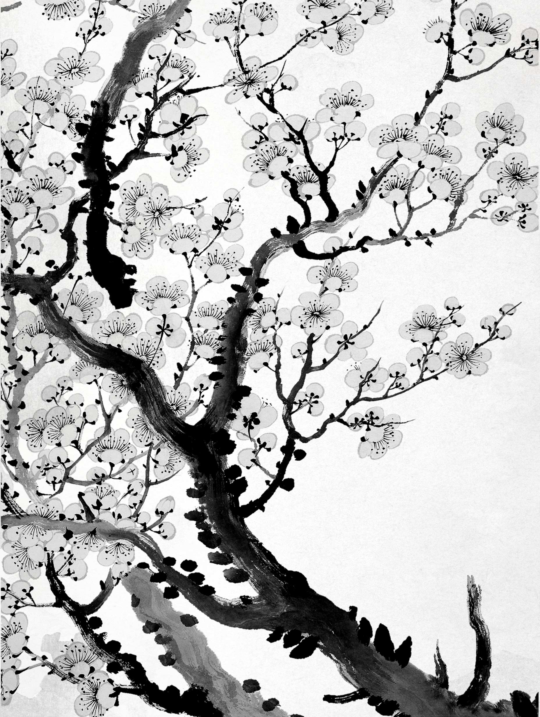 Plum Blossom Japanese Art Print