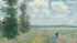 Poppy Fields near Argenteuil No. 2 - Claude Monet