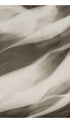 Photogenic Abstraction – Lotte Jacobi