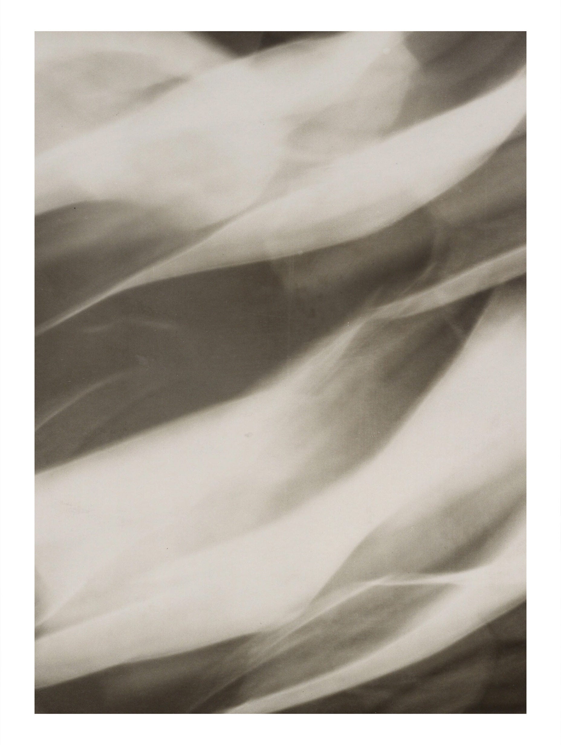 Photogenic Abstraction – Lotte Jacobi