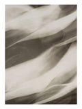 Photogenic Abstraction – Lotte Jacobi