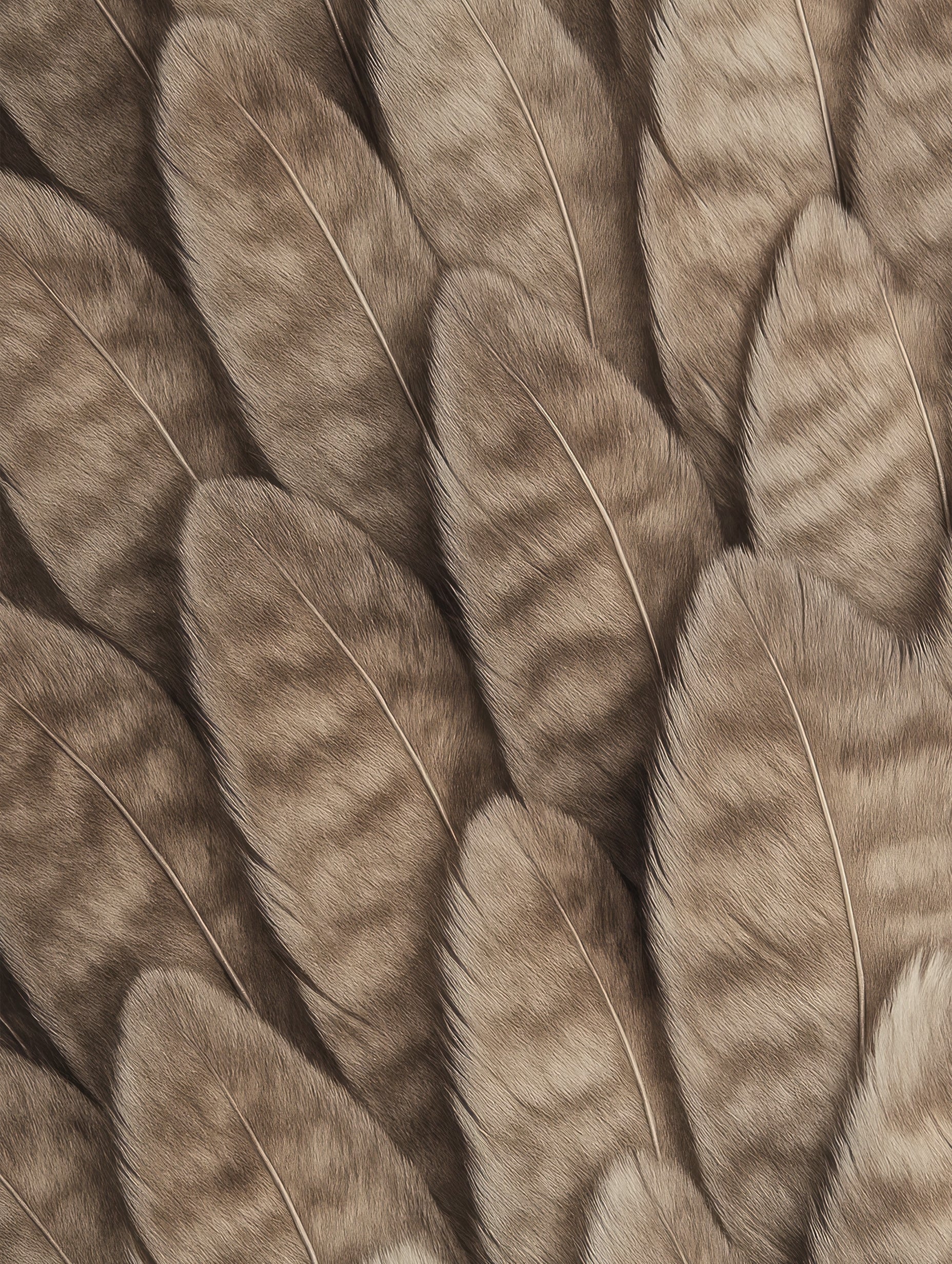 Bird Feathers Abstract Poster