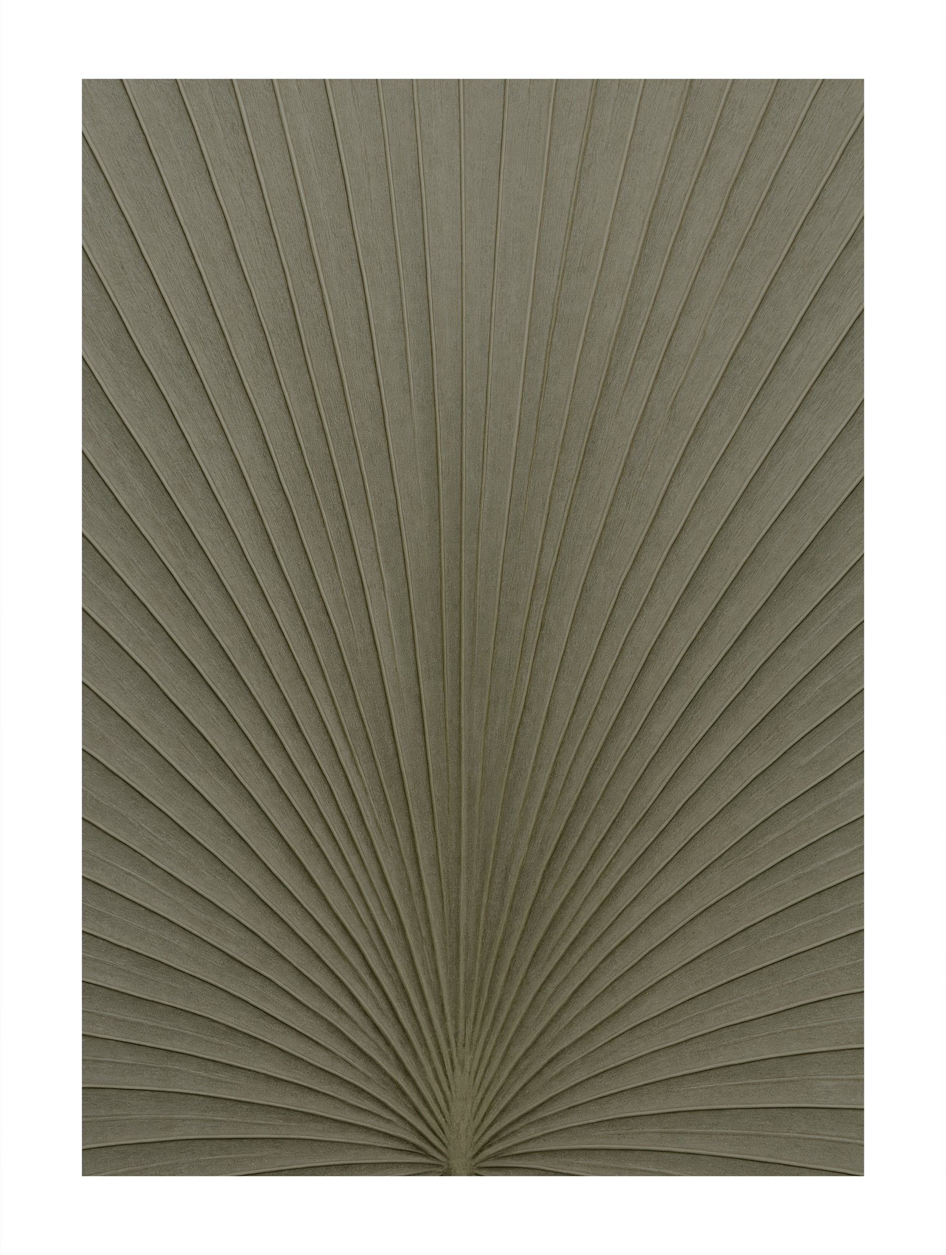 Casadeco Semiramis Leaf Art Print