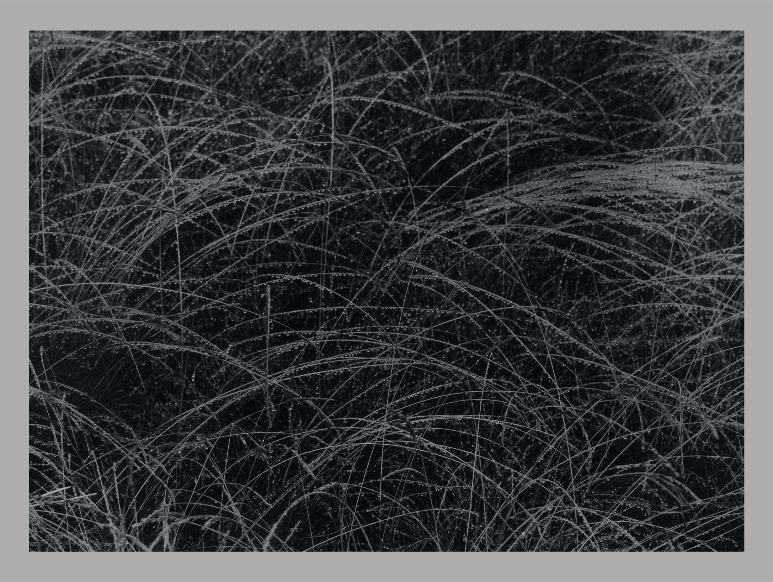 Rain Drops Alfred Stieglitz Art Print No 1