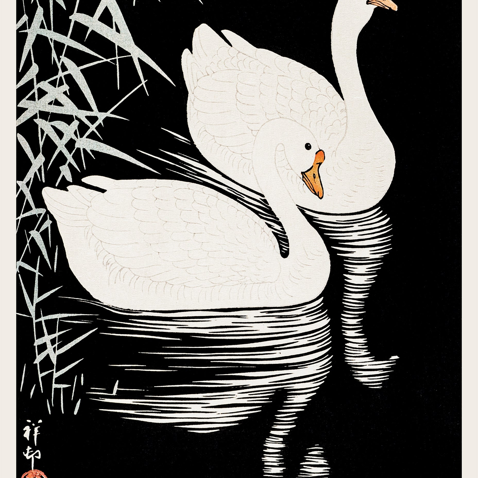 Hvite kinesiske gjess som svømmer gjennom siv Ohara Koson kunsttrykk