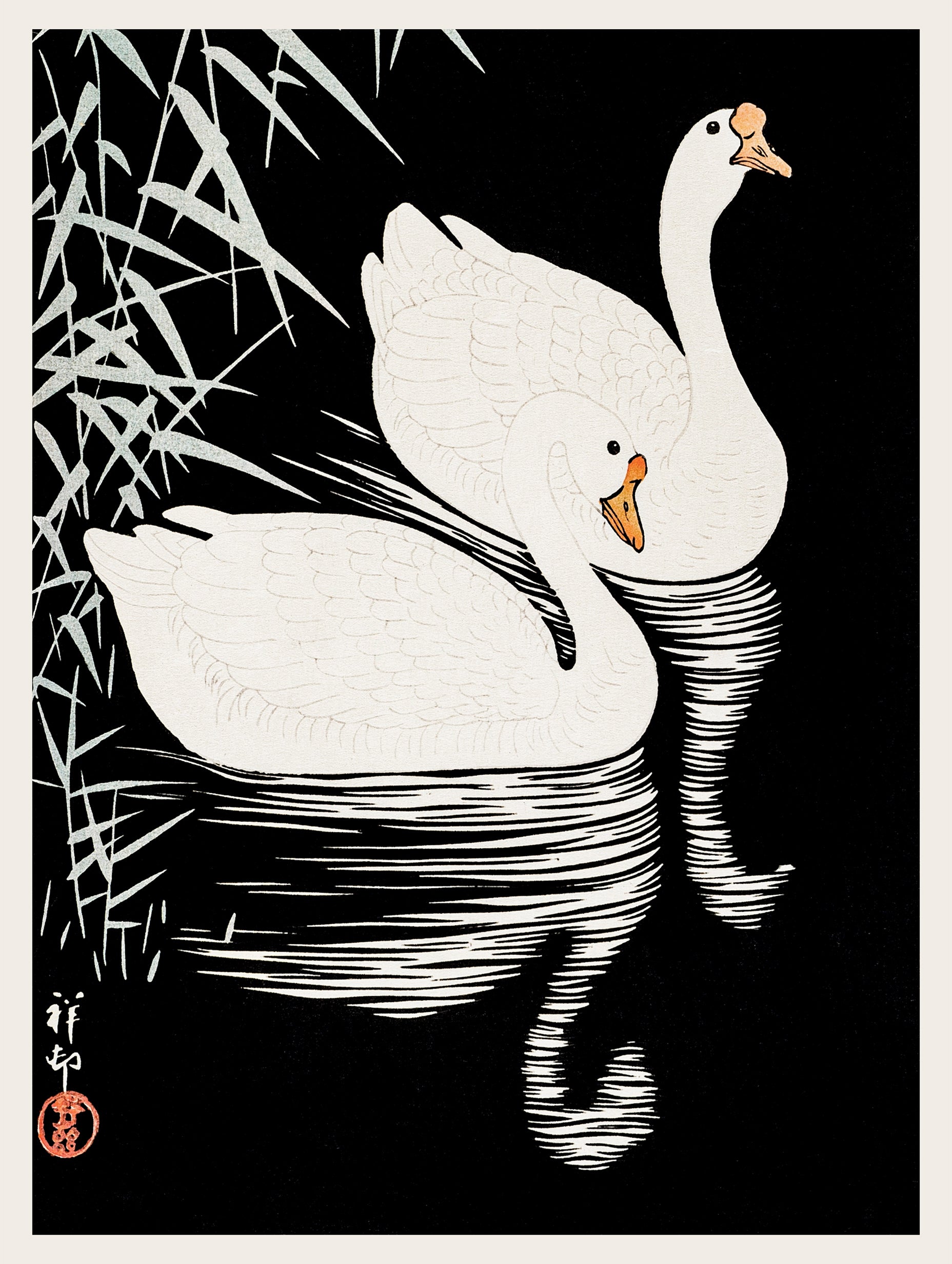 Hvite kinesiske gjess som svømmer gjennom siv Ohara Koson kunsttrykk