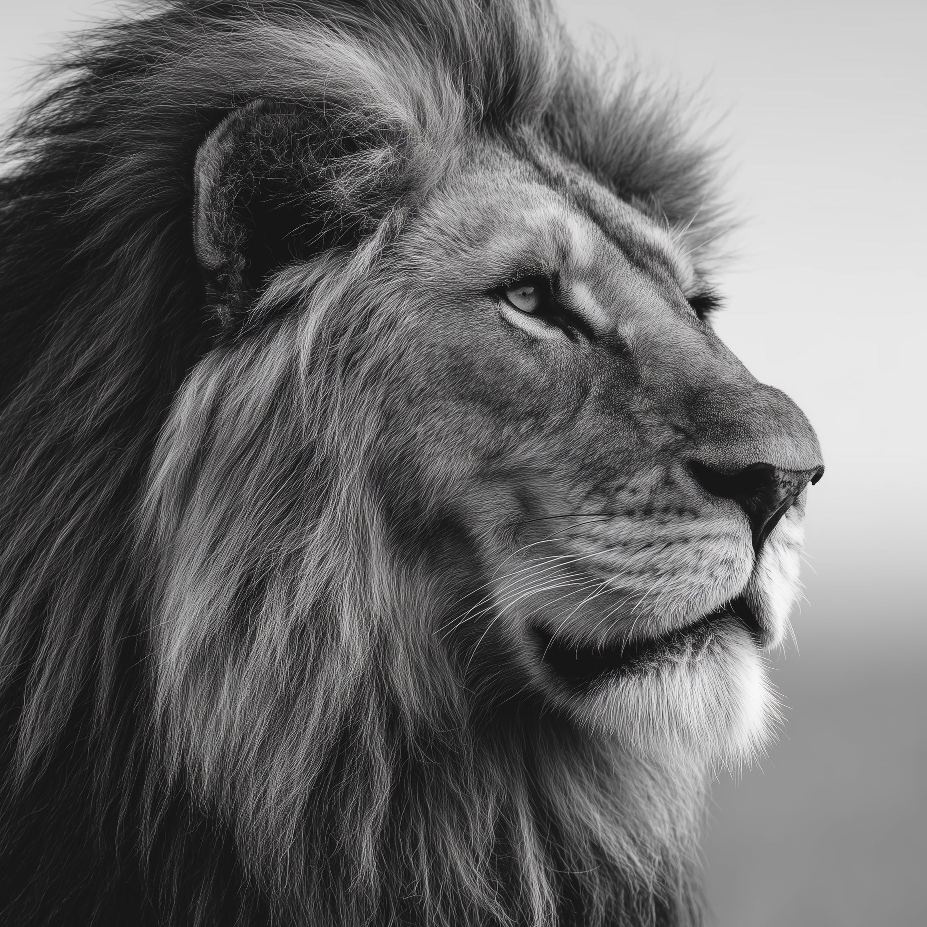 Första huset i en bosättning abstrakt konsttryck