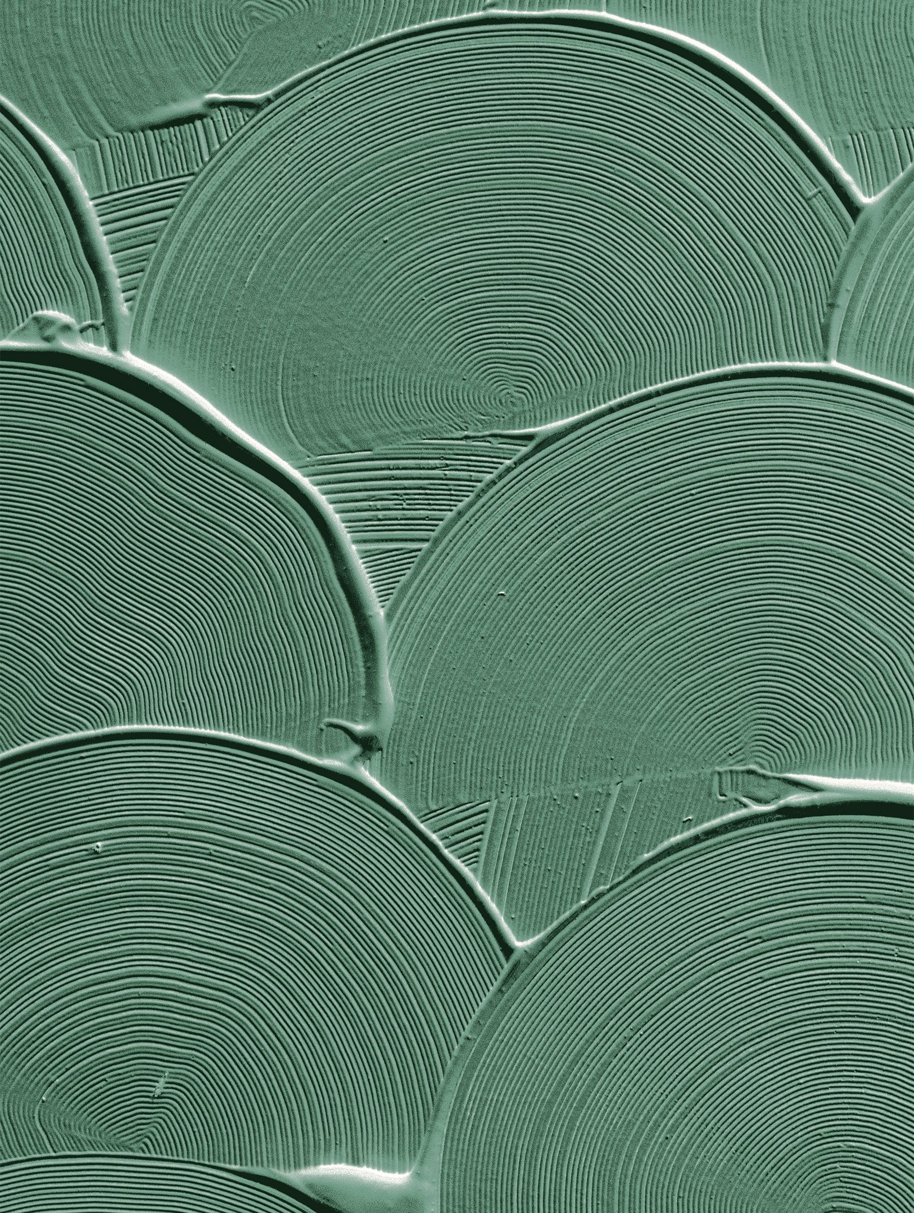 Scalloped Texture Abstract Art Print