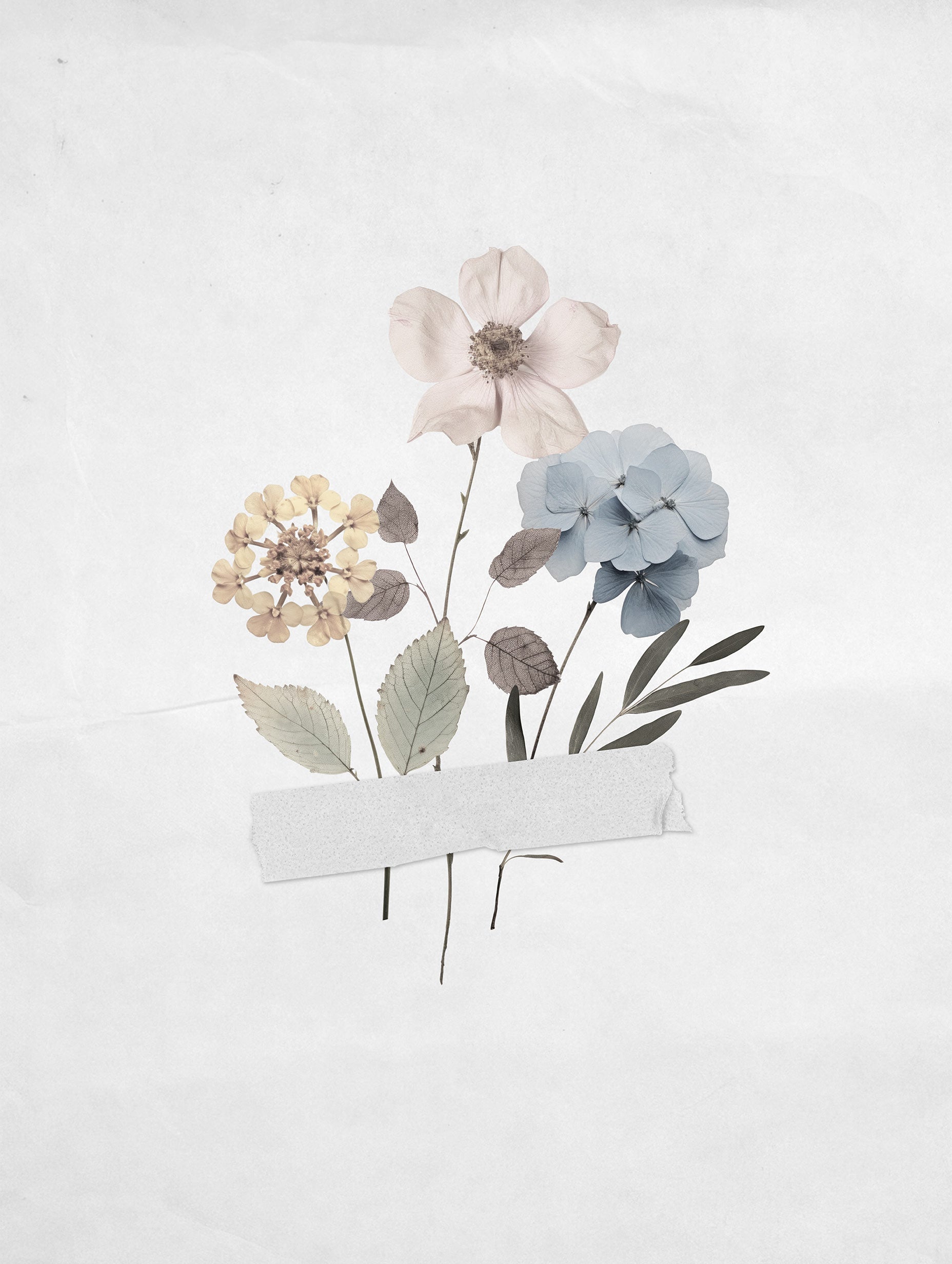 Pressed Flower Art Print