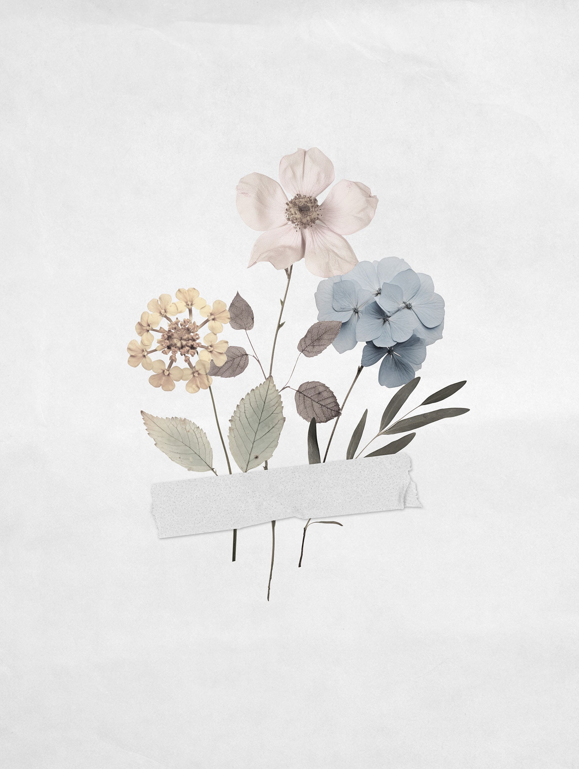 Pressed Flower Art Print