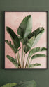 Ravenala Madagascariensis Leaves Botanical Poster Mockup