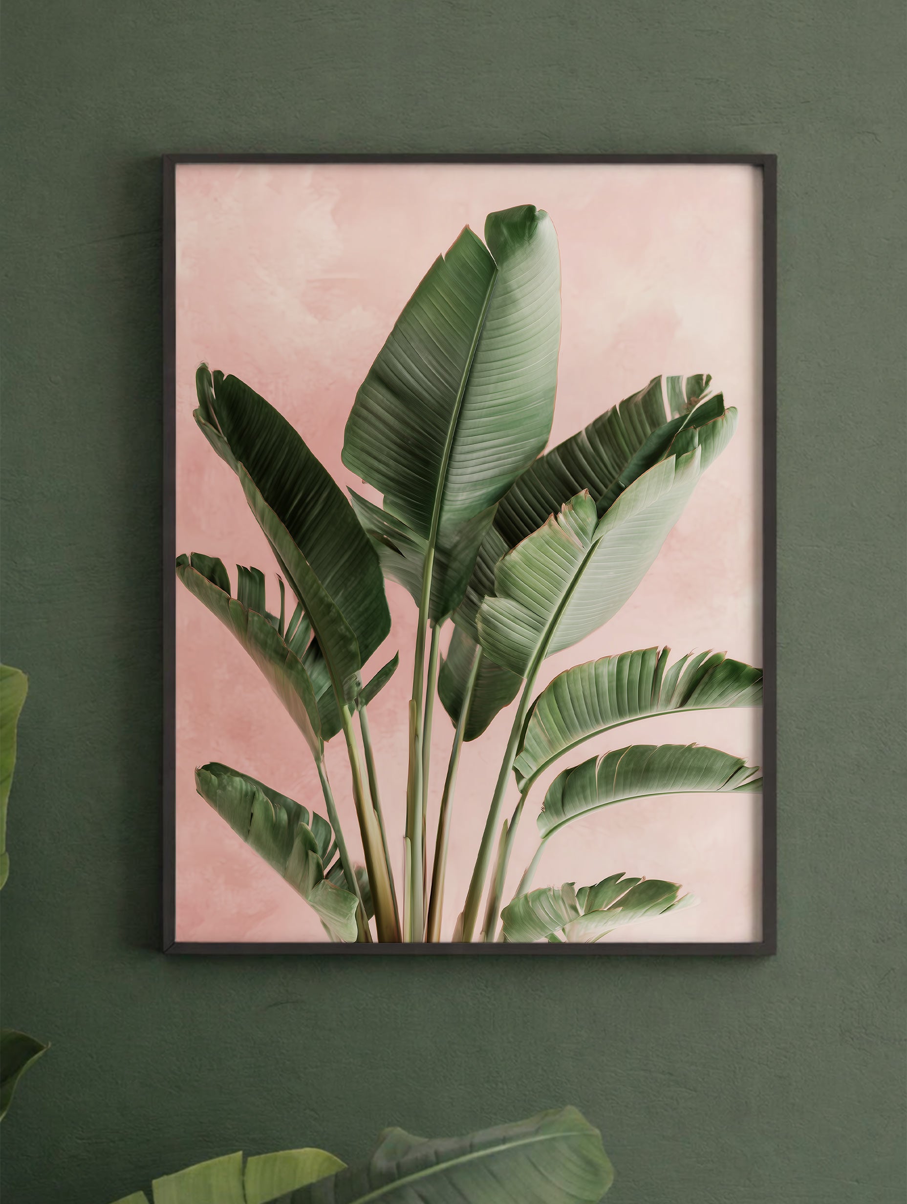 Ravenala Madagascariensis Leaves Botanical Poster Mockup