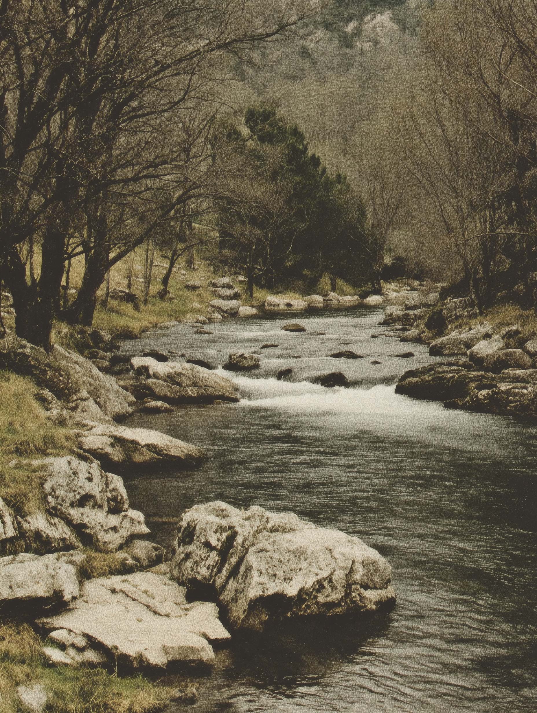 Rocky River Landscape Wall Art