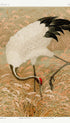 Sarus Crane in Rice Field G.A. Audsley Art Print
