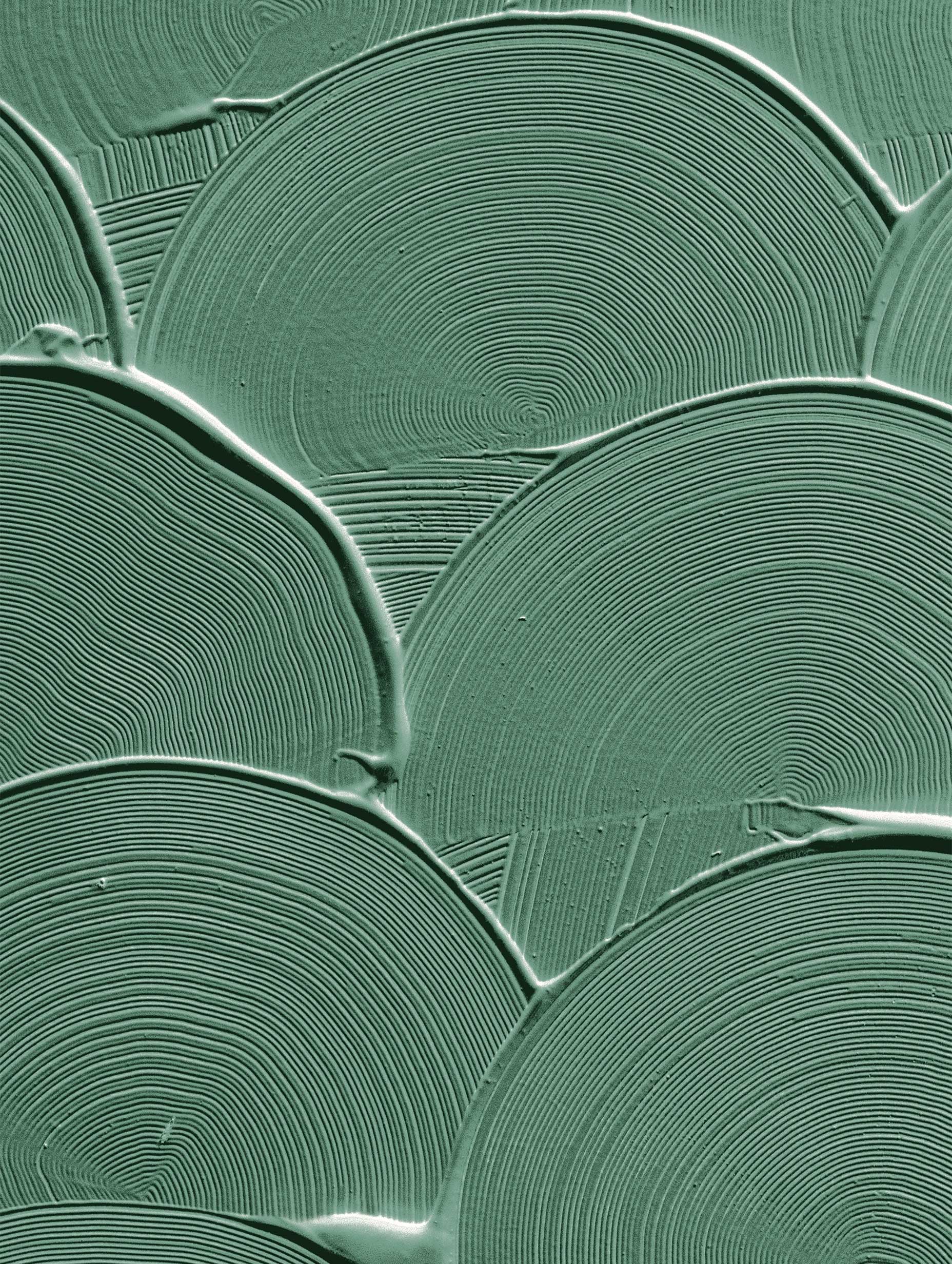 Scalloped Texture Abstract Art Print