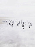Seagulls on a Beach Ocean Wall Art
