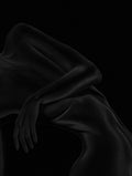 Shadow Beauty Posters