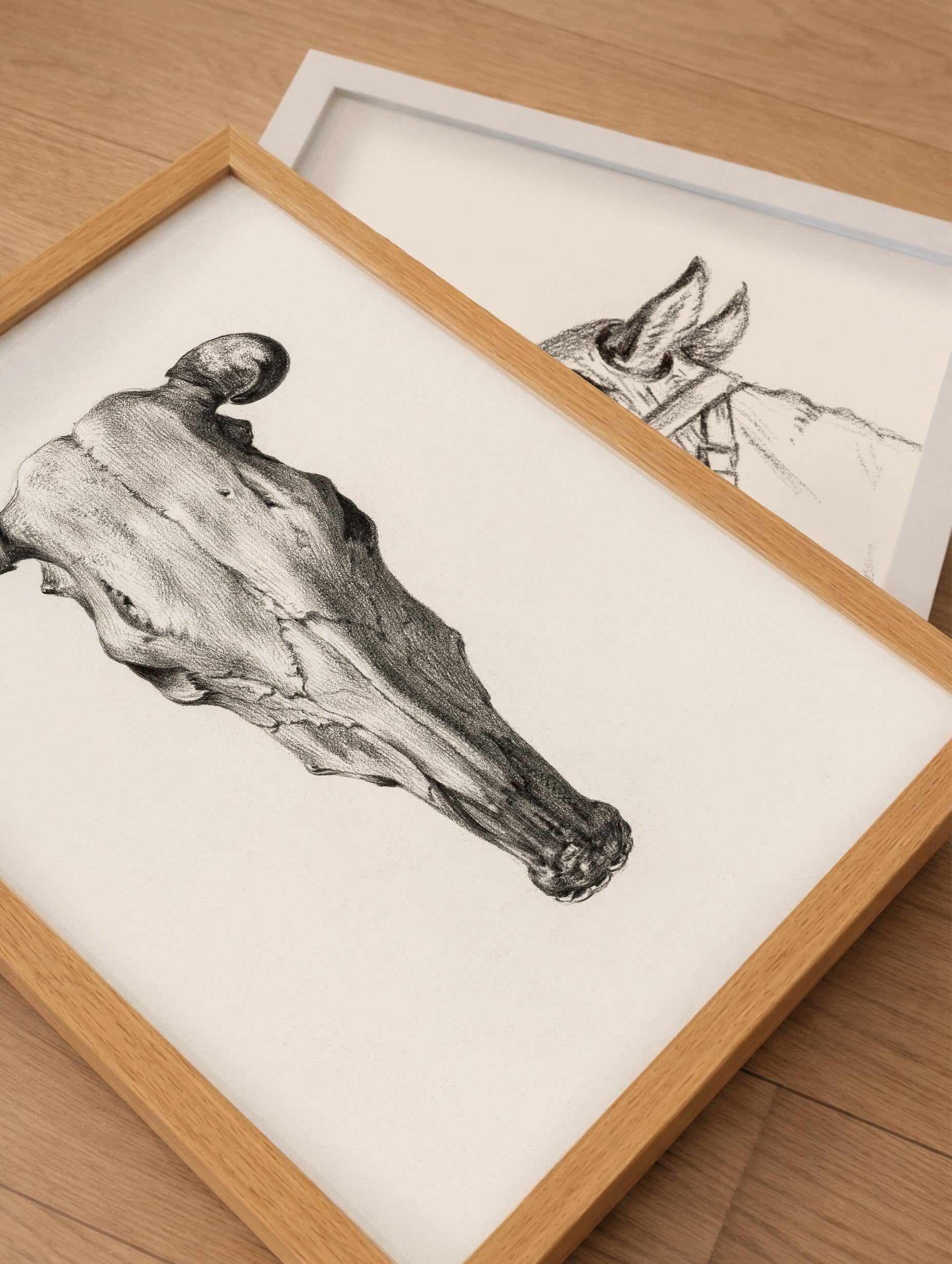 Skull of a cow - Jean Bernard Poster No 1 Mockup