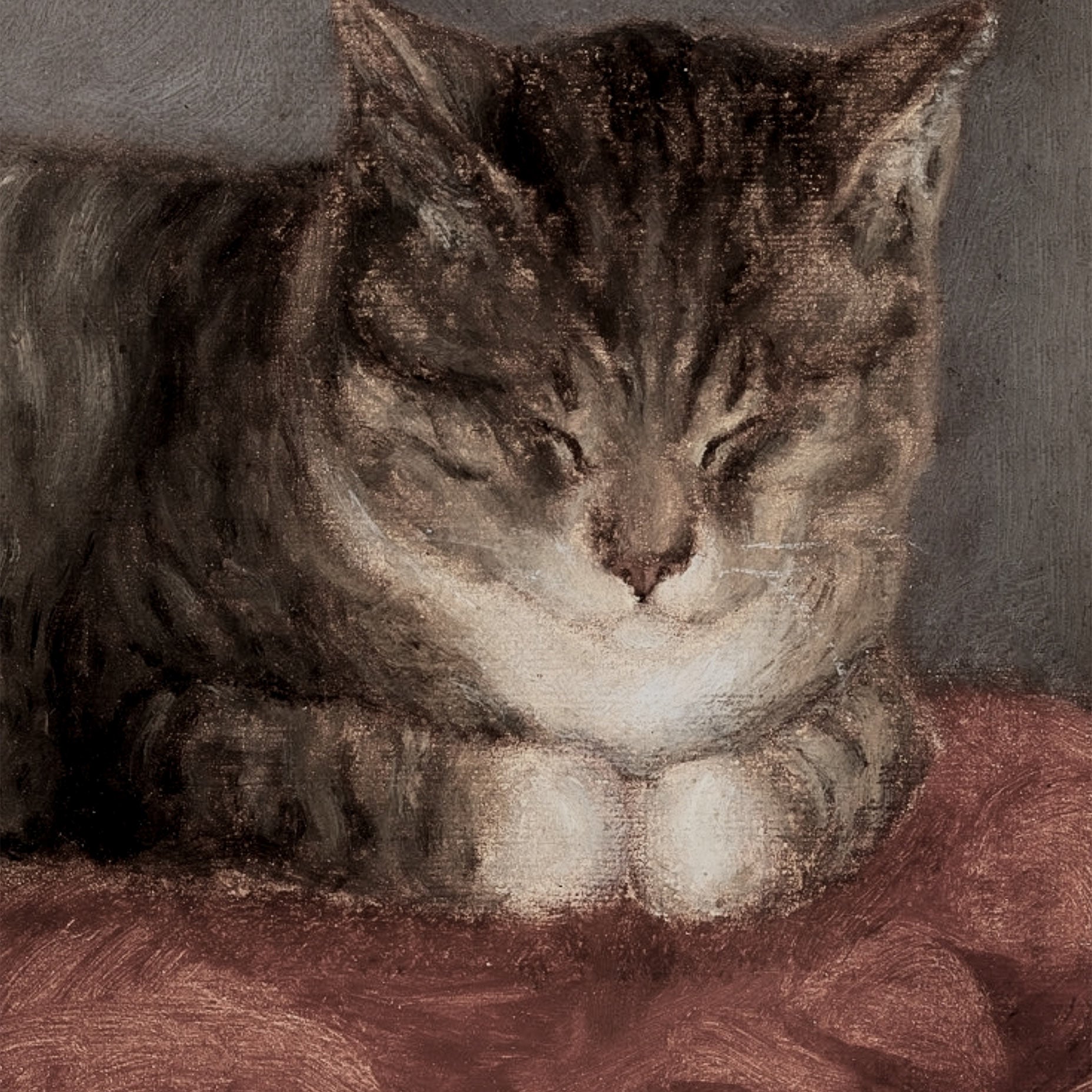 Sleeping Tabby Cat Animal Art Print