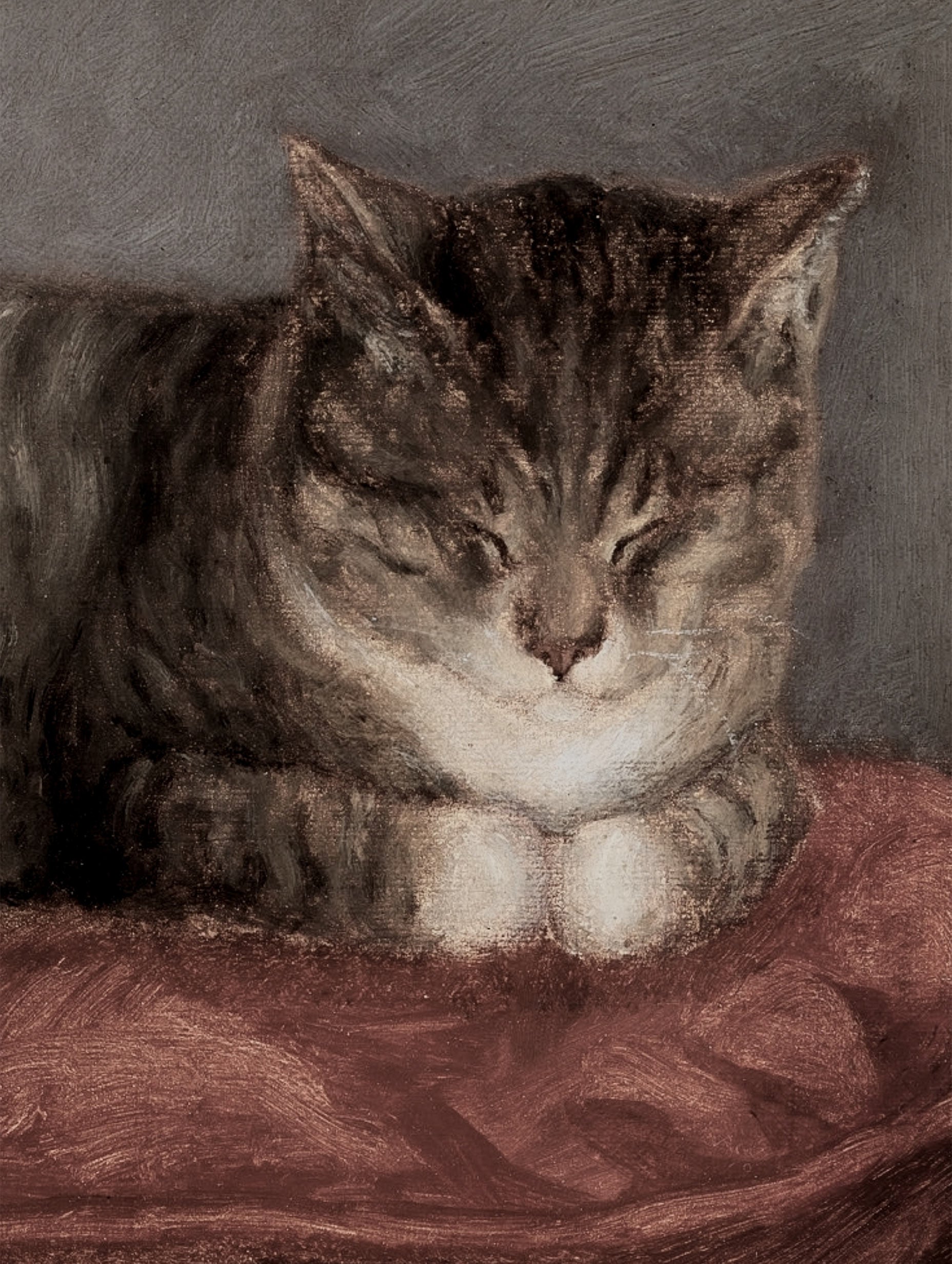 Sleeping Tabby Cat Animal Art Print