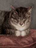 Sleeping Tabby Cat Animal Art Print