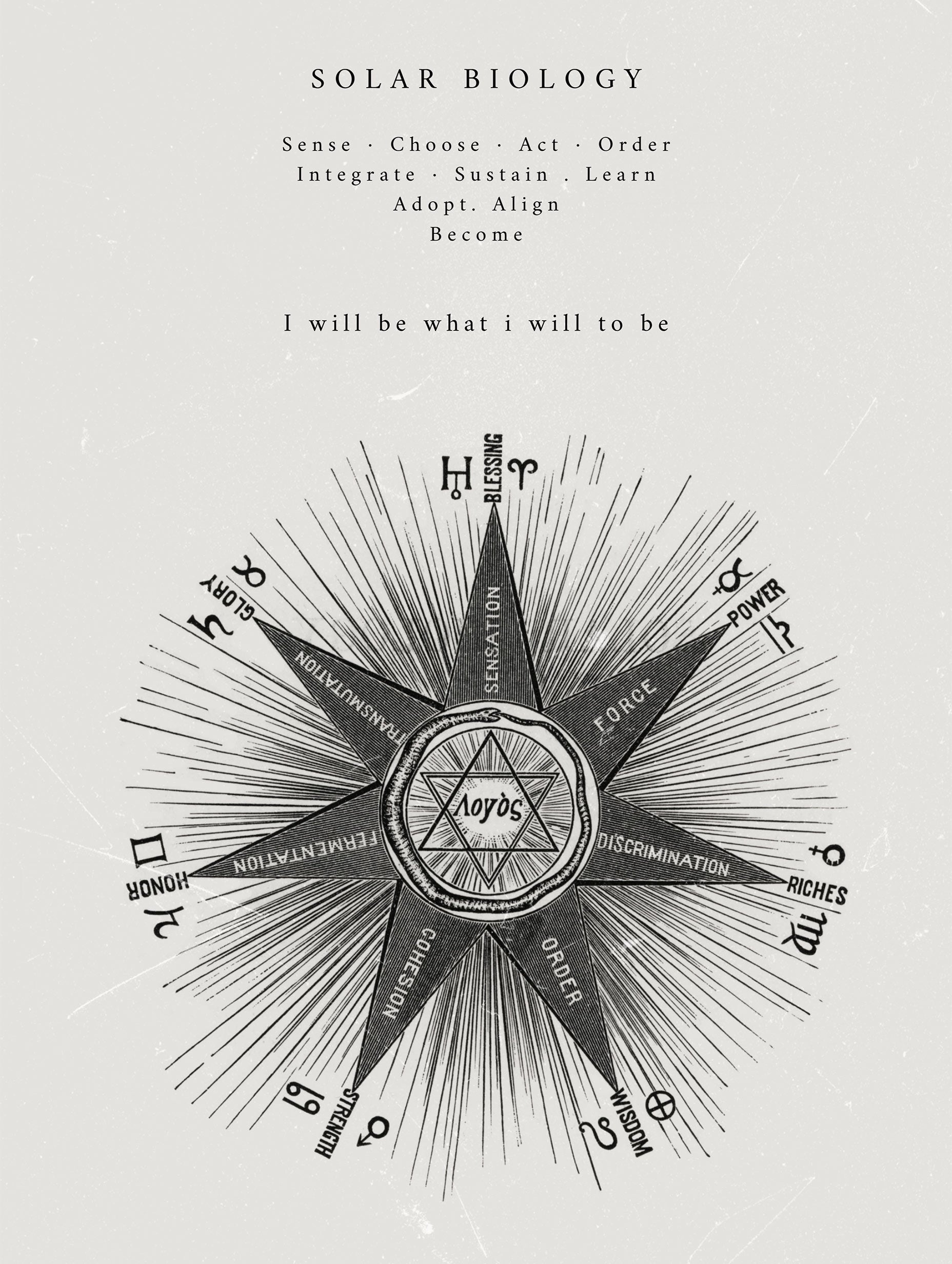 Solar Biology Diagram No I Hiram Erastus Butler Art Print