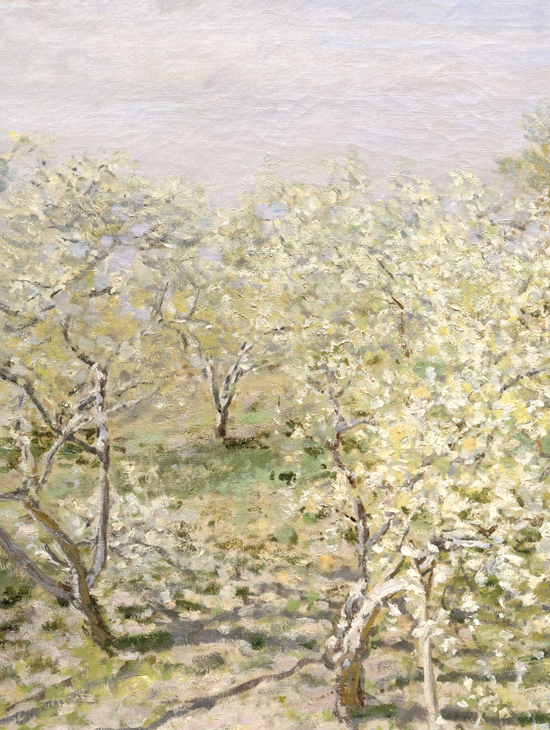 Spring (Fruit Trees in Bloom) Claude Monet Art Print