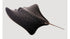 Stingray Animal Poster