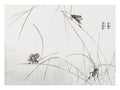 Suzumushi Bell Crickets Morimoto Toko Art Print