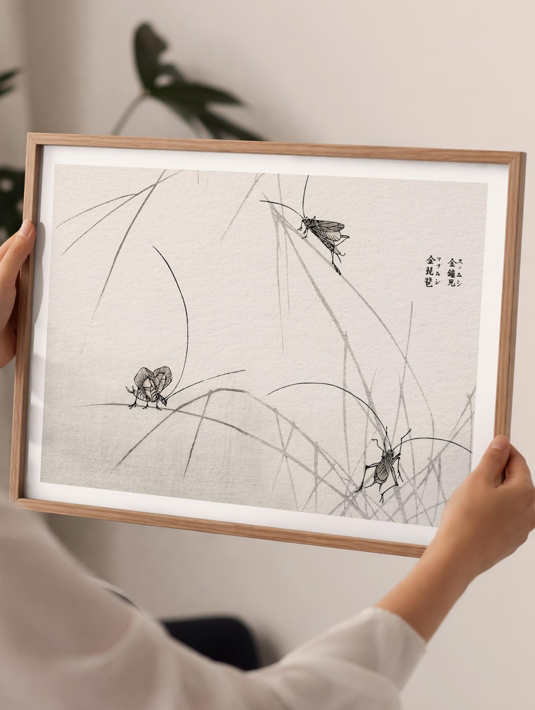 Suzumushi Bell Crickets Morimoto Toko Art Print Mockup