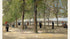 Terrace in the Luxembourg Gardens - van Gogh