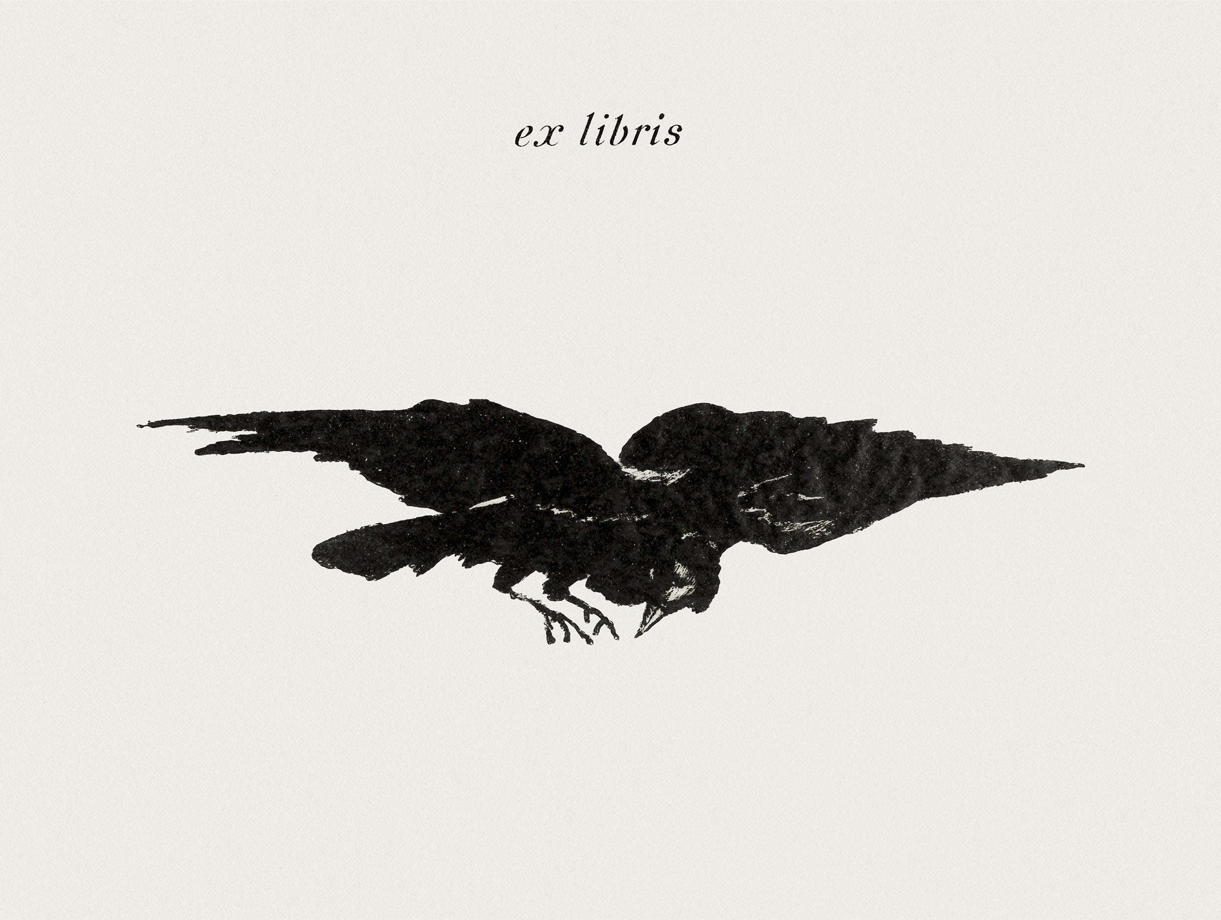 The Flying Raven – Édouard Manet