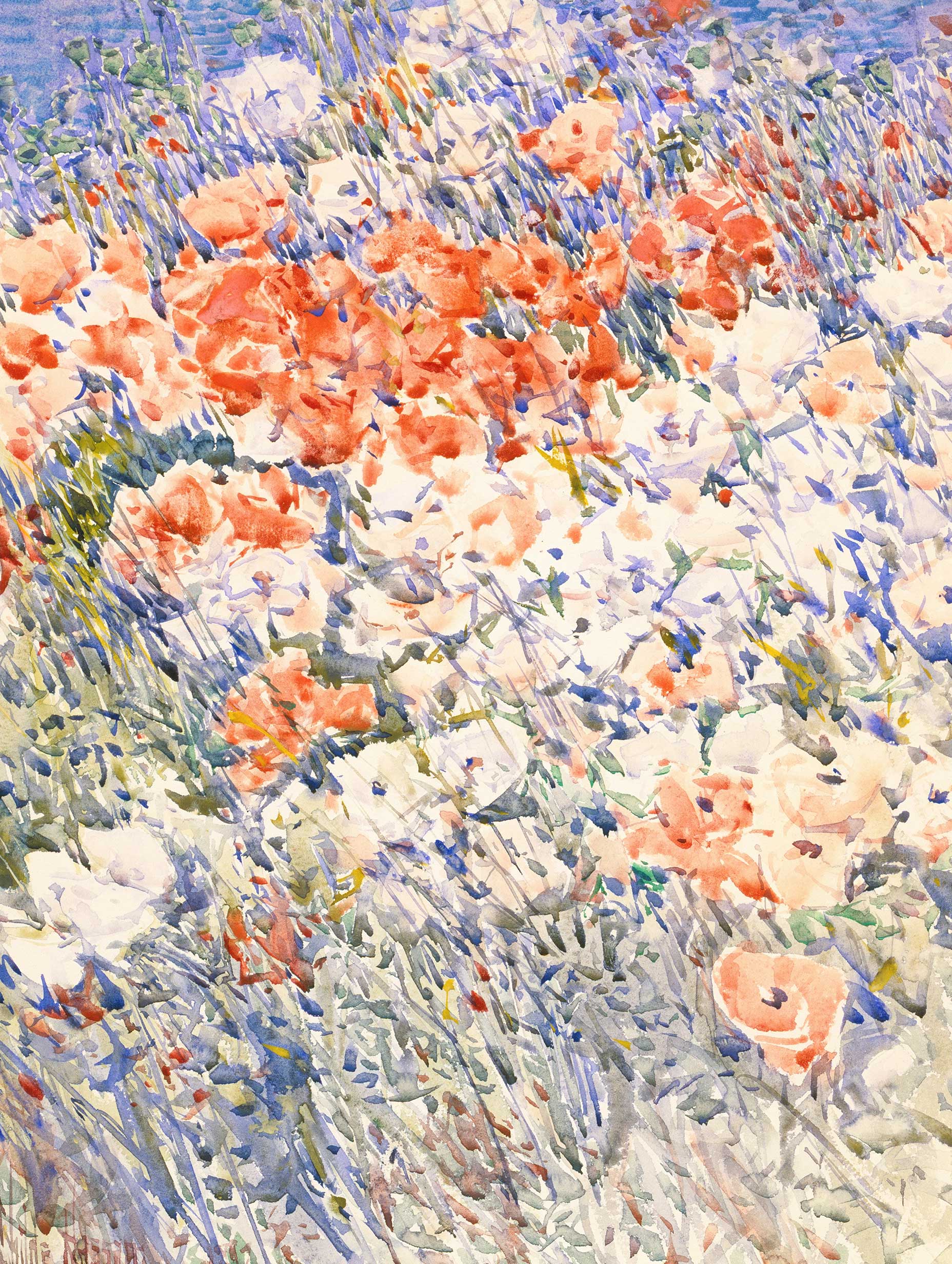 The Island Garden - Childe Hassam