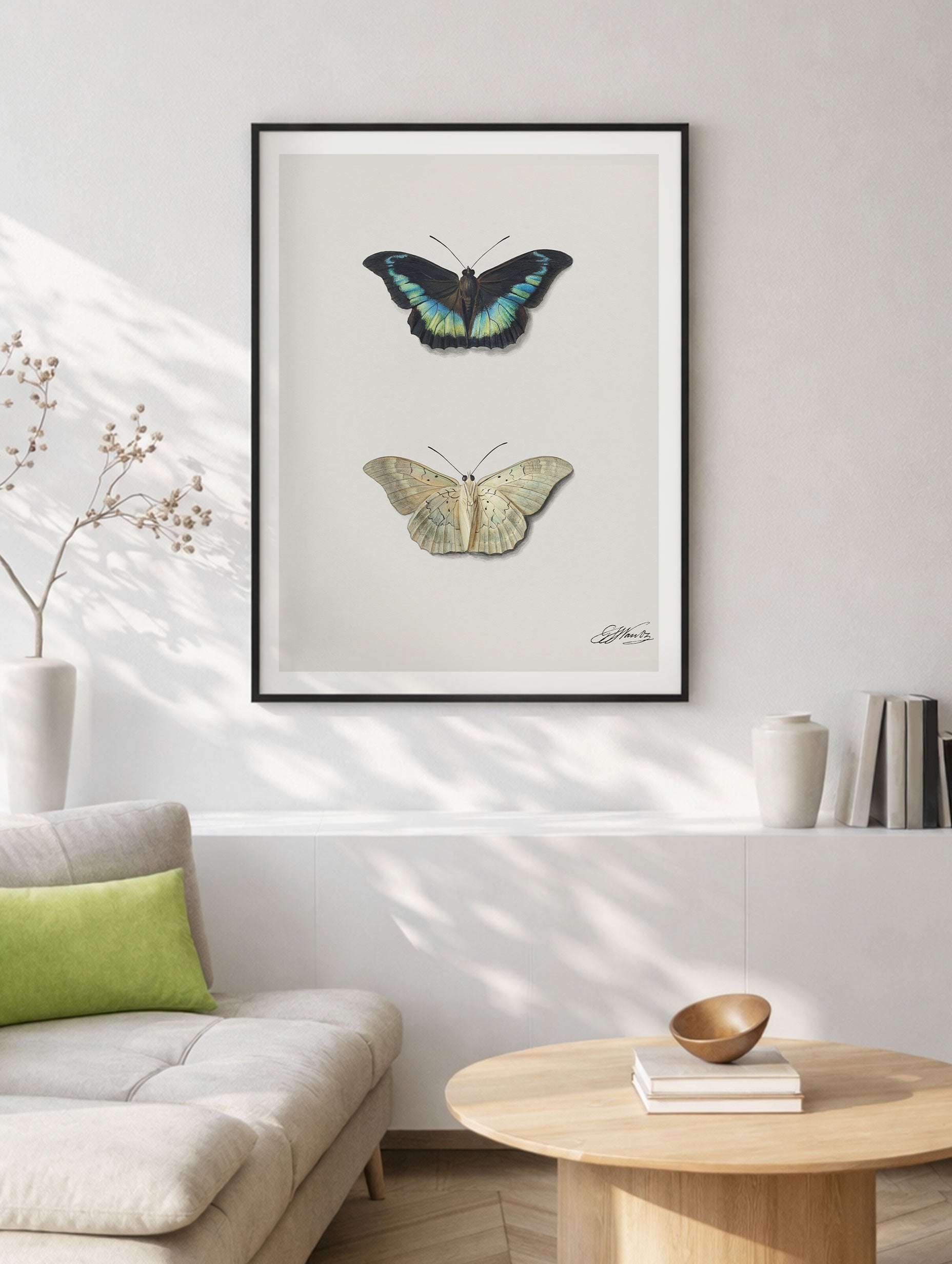 Top and bottom view of a butterfly Jacobus Johannes van Os Art Mockup