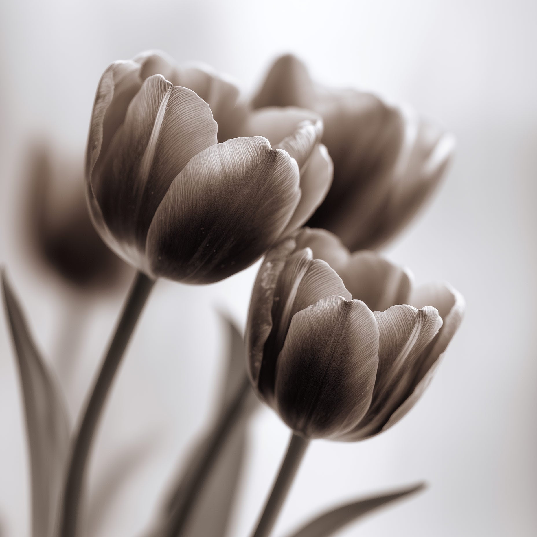 Första huset i en bosättning abstrakt konsttryck