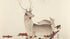 Two Deer Ohara Koson Art Print - Japanese Poster