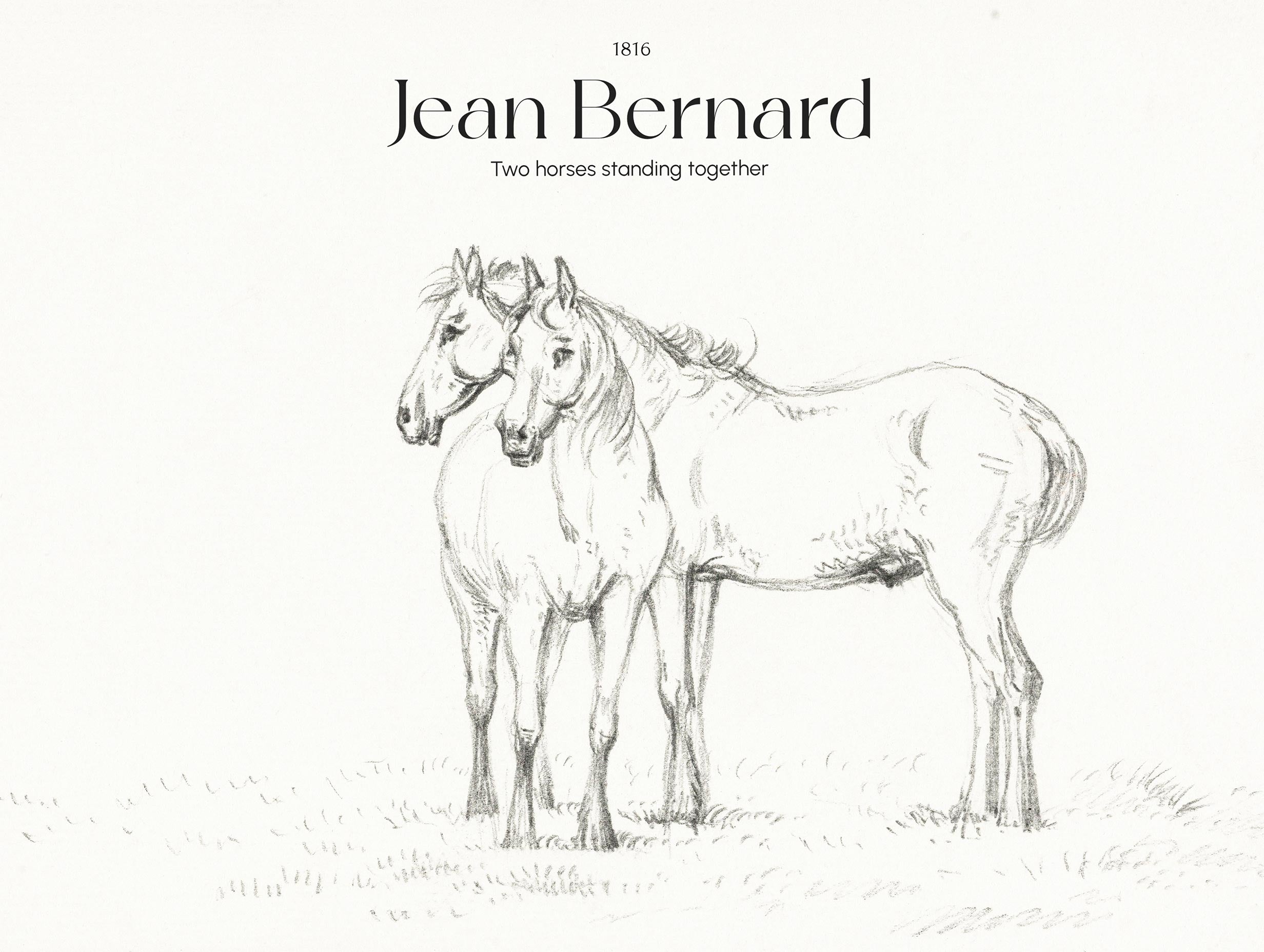 Two horses standing together - Jean Bernard
