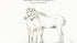 Two horses standing together - Jean Bernard