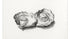 Two opened oysters - Jean Bernard