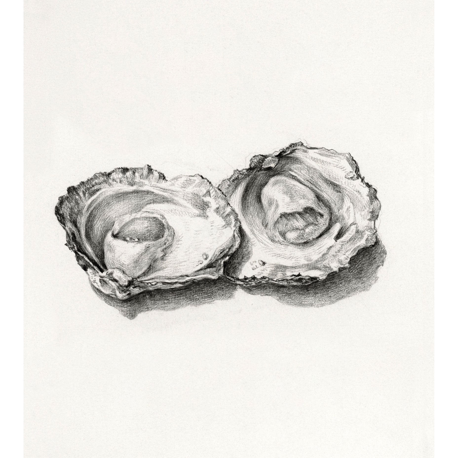 Två öppnade ostron - Jean Bernard