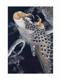 Two peacocks in a tree - Ohara Koson