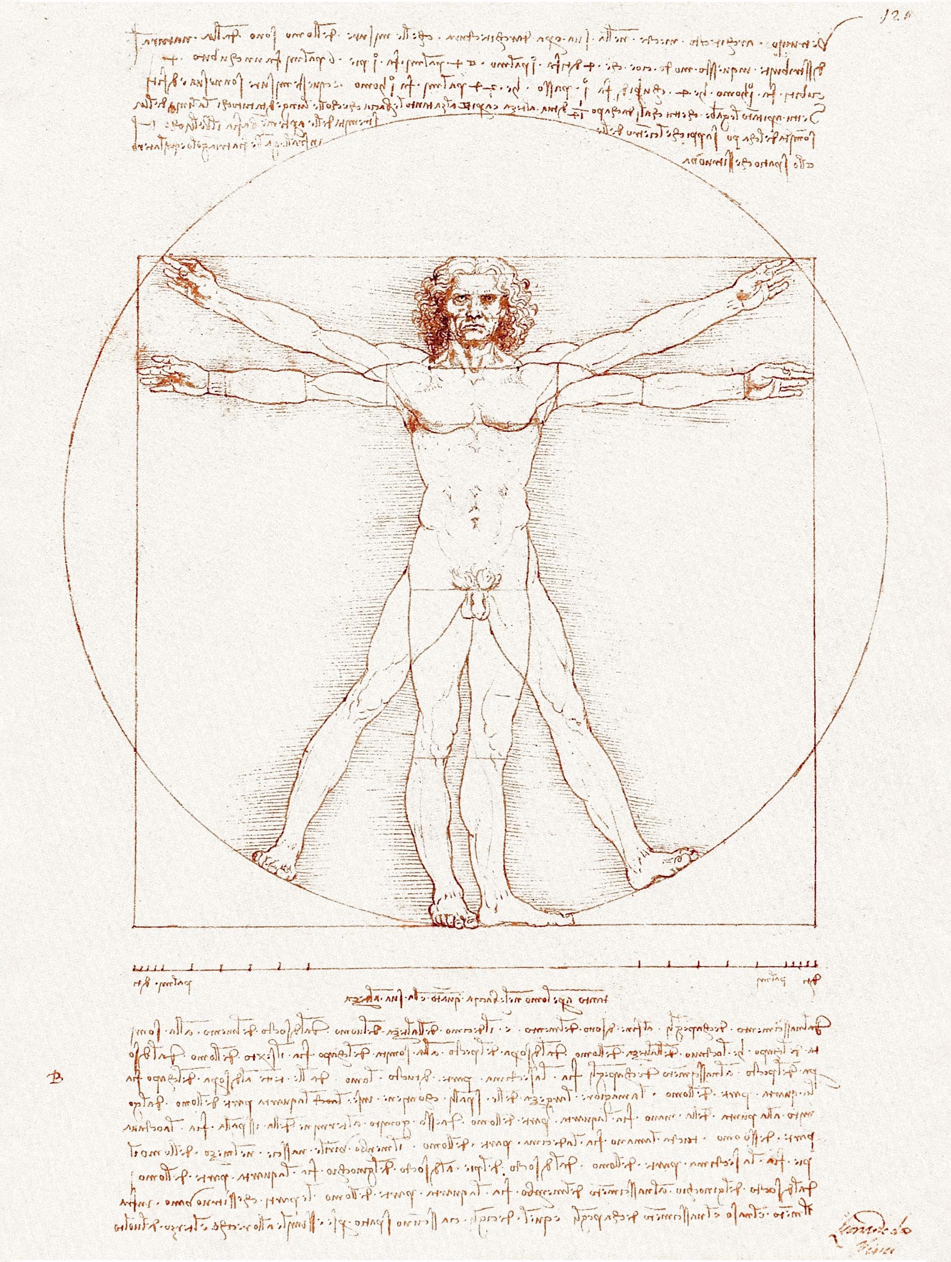 Vitruvian Man Leonardo Da Vinci Art Print